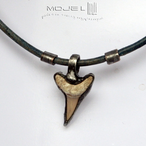 zab-rekina-meska-bizuteria-wisior-dla-mezczyzny-amulet-talizman-skamienialy