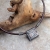 mono-Fehu_3155.jpg