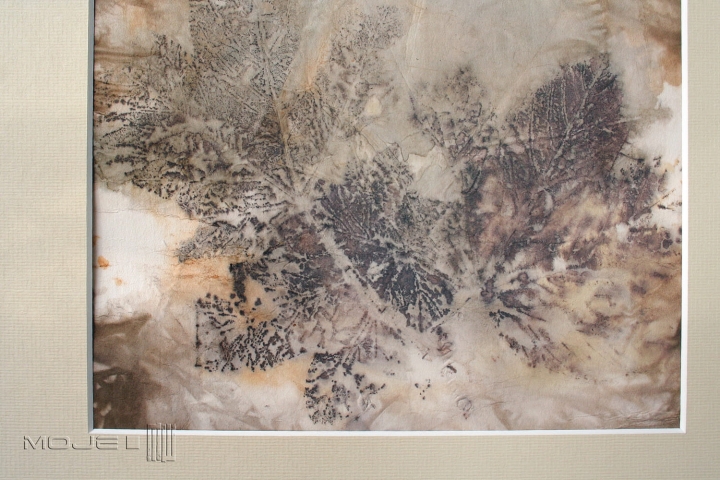 natura-malowane-kompozycja-jesienna-grafika-obrazek-na-sciane-druk-ekologiczny-ecoprint-ekodruk-papier-do-grafiki-obrazek-natura-liscie-dekoracja