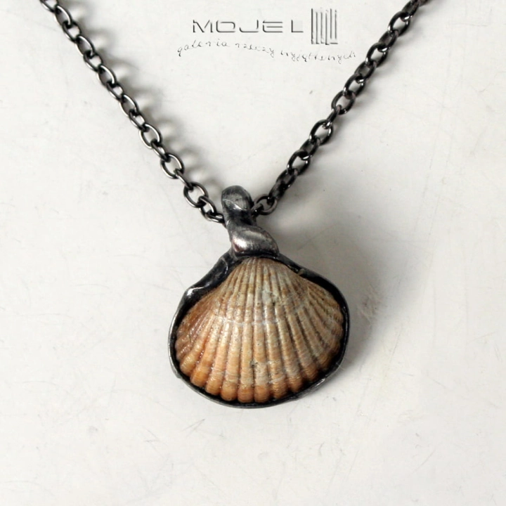 baltycka-muszelka-wisiorek-z-muszelka-na-szyje