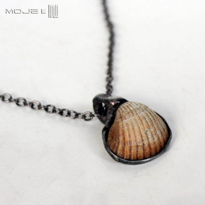 baltycka-muszelka-wisiorek-z-muszelka-na-szyje