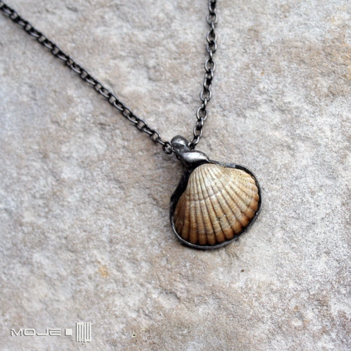 baltycka-muszelka-wisiorek-z-muszelka-na-szyje