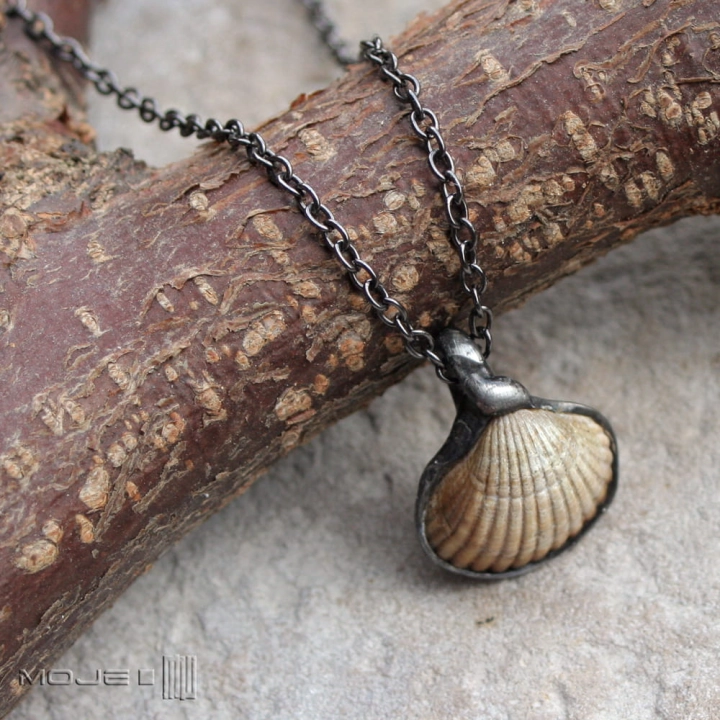 baltycka-muszelka-wisiorek-z-muszelka-na-szyje