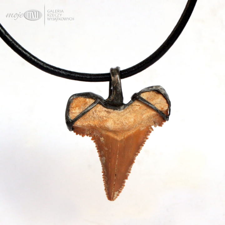 zab-rekina-duzy-meski-wisior-prawdziwy-amulet