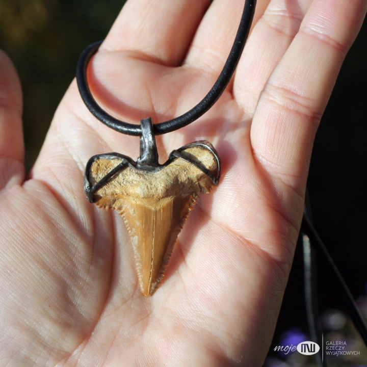 zab-rekina-duzy-meski-wisior-prawdziwy-amulet