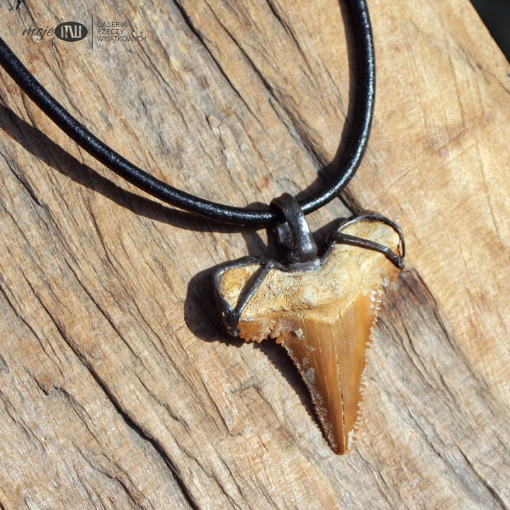 zab rezab-rekina-duzy-meski-wisior-prawdziwy-amulet
