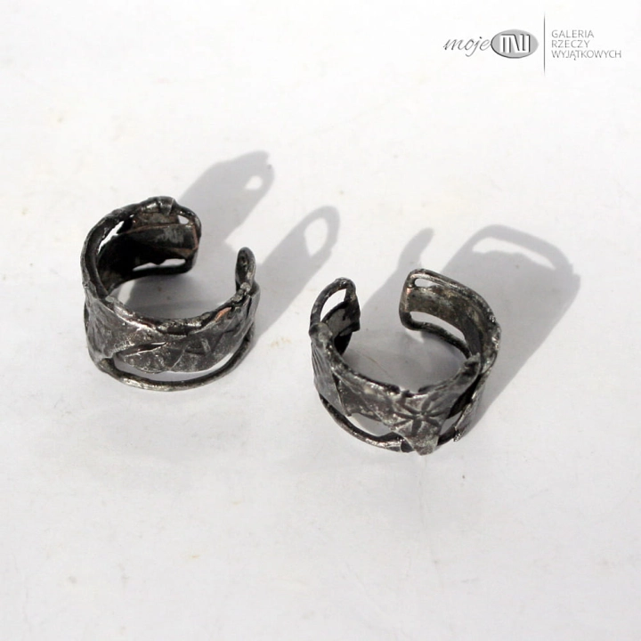 nausznice slowianskie archeo_1980.jpg