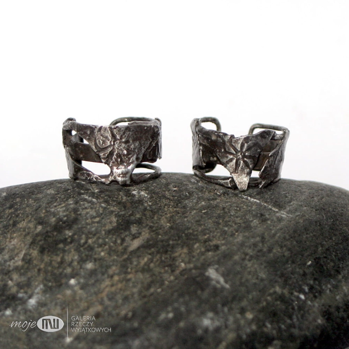 nausznice slowianskie archeo_1982.jpg