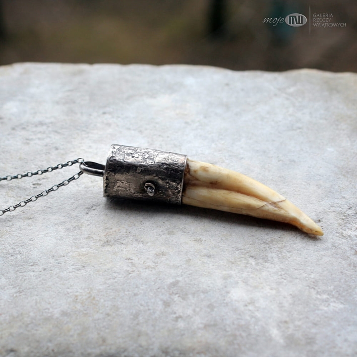 zeby-wilka-wisior-z-zeba-oprawiony-w-srebro-amulet-meska-bizuteria-poganska