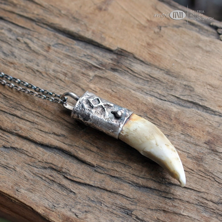 zeby-wilka-wisior-z-zeba-oprawiony-w-srebro-amulet-meska-bizuteria-poganska