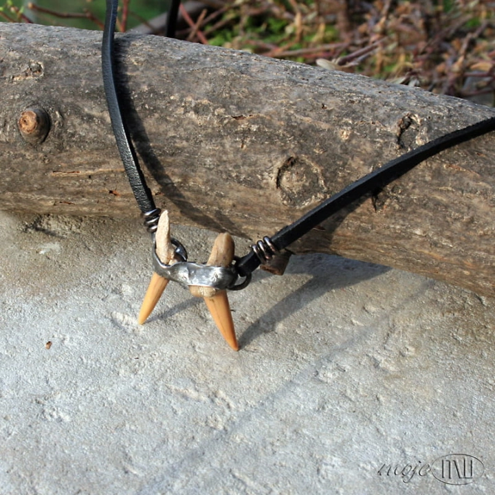 podwojny zab rekina II_1479.jpg