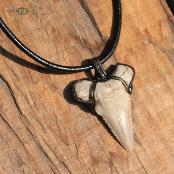 zab-rekina-duzy-meski-wisior-prawdziwy-amulet