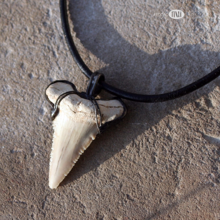 zab-rekina-duzy-meski-wisior-prawdziwy-amulet