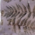 jedwabny-szal-eko-druk-ecoprint-liscie-druk-ekologiczny-jedwab-naturalny-dla-kobiety-prezent-zwiewny