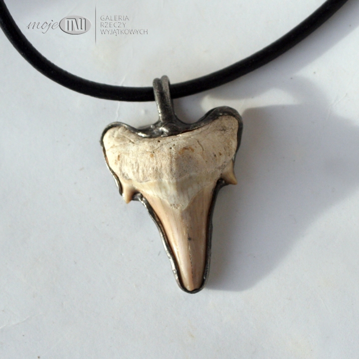 zab-rekina-duzy-meski-wisior-prawdziwy-amulet