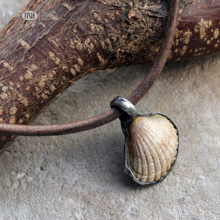 baltycka-muszelka-wisiorek-z-muszelka-na-szyje