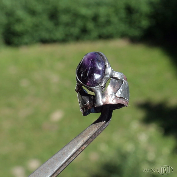 pierscien wojowniczki II_1816.jpg