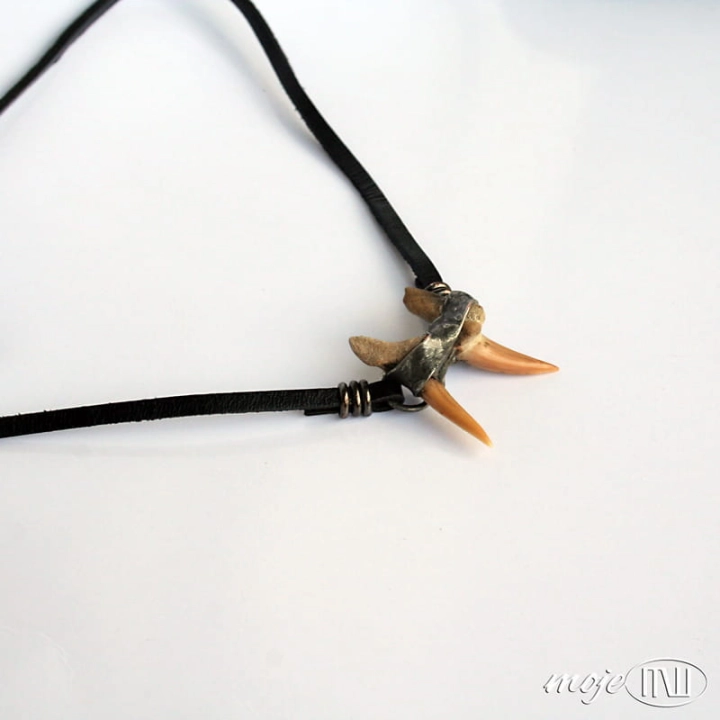 podwojny zab rekina II_1474.jpg