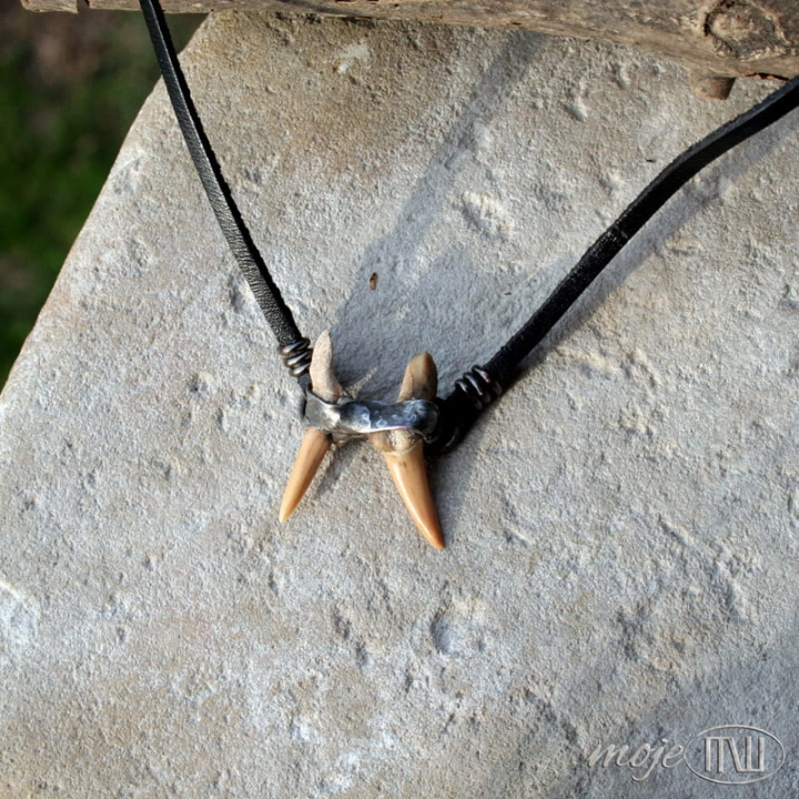 podwojny zab rekina II_1477.jpg