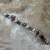 trzy orbity_4273.jpg