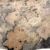 Jedwabny-szal-eko-druk-ecoprint-liscie-druk-ekologiczny-jedwab-naturalny-dla-kobiety-prezent-zwiewny