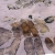 Jedwabny-szal-eko-druk-ecoprint-liscie-druk-ekologiczny-jedwab-naturalny-dla-kobiety-prezent-zwiewny