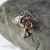 Unakitowe-liscie-srebro-srebrne-kolczyki-z-unakitem-Art-Clay