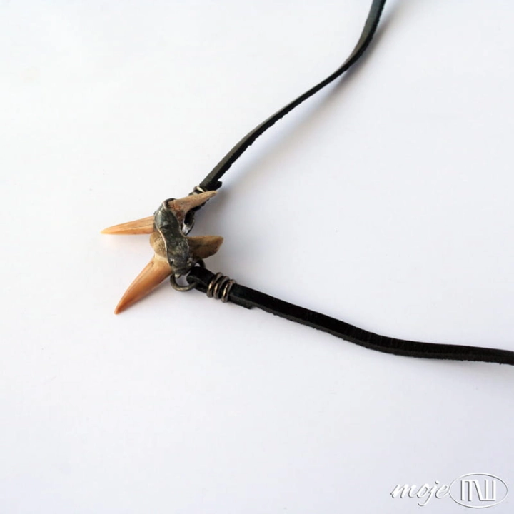 podwojny zab rekina II_1475.jpg