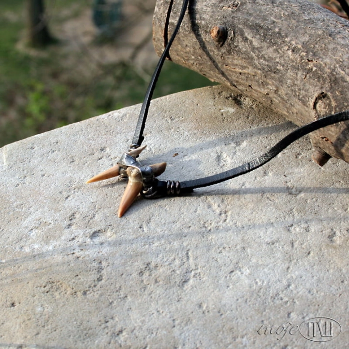 podwojny zab rekina II_1478.jpg